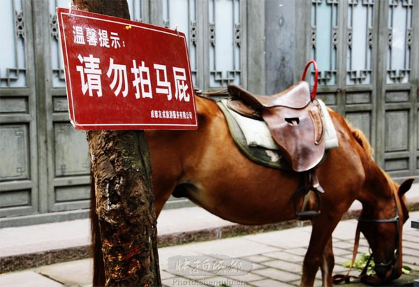 劉勇：不要拍馬屁讓人舒服就好