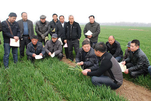 開展農(nóng)技服務。