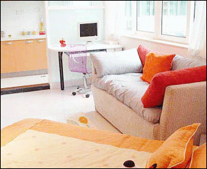 白領單身公寓：小戶型效果圖欣賞