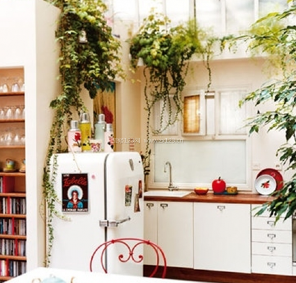 室內(nèi)擺放什么植物好