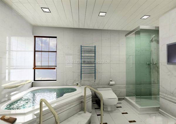 衛生間吊頂效果圖